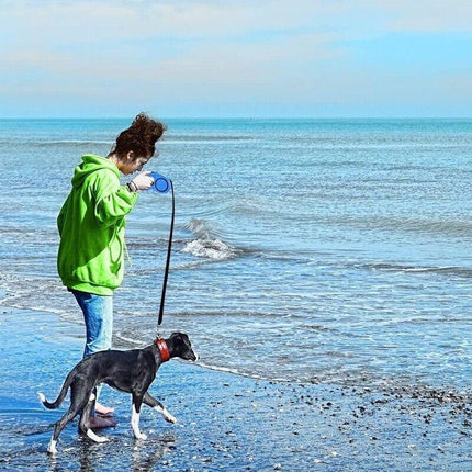 3/5M Dog Lead Leash Strong Retractable Extendable 5M Lockable Heavy Duty 15Kg Au Aimall