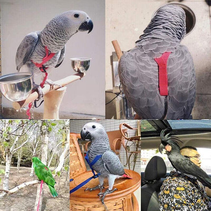 Pet Parrot Bird Harness Lead Leash Flying Training Rope Cockatiel Outdoor AU - Aimall